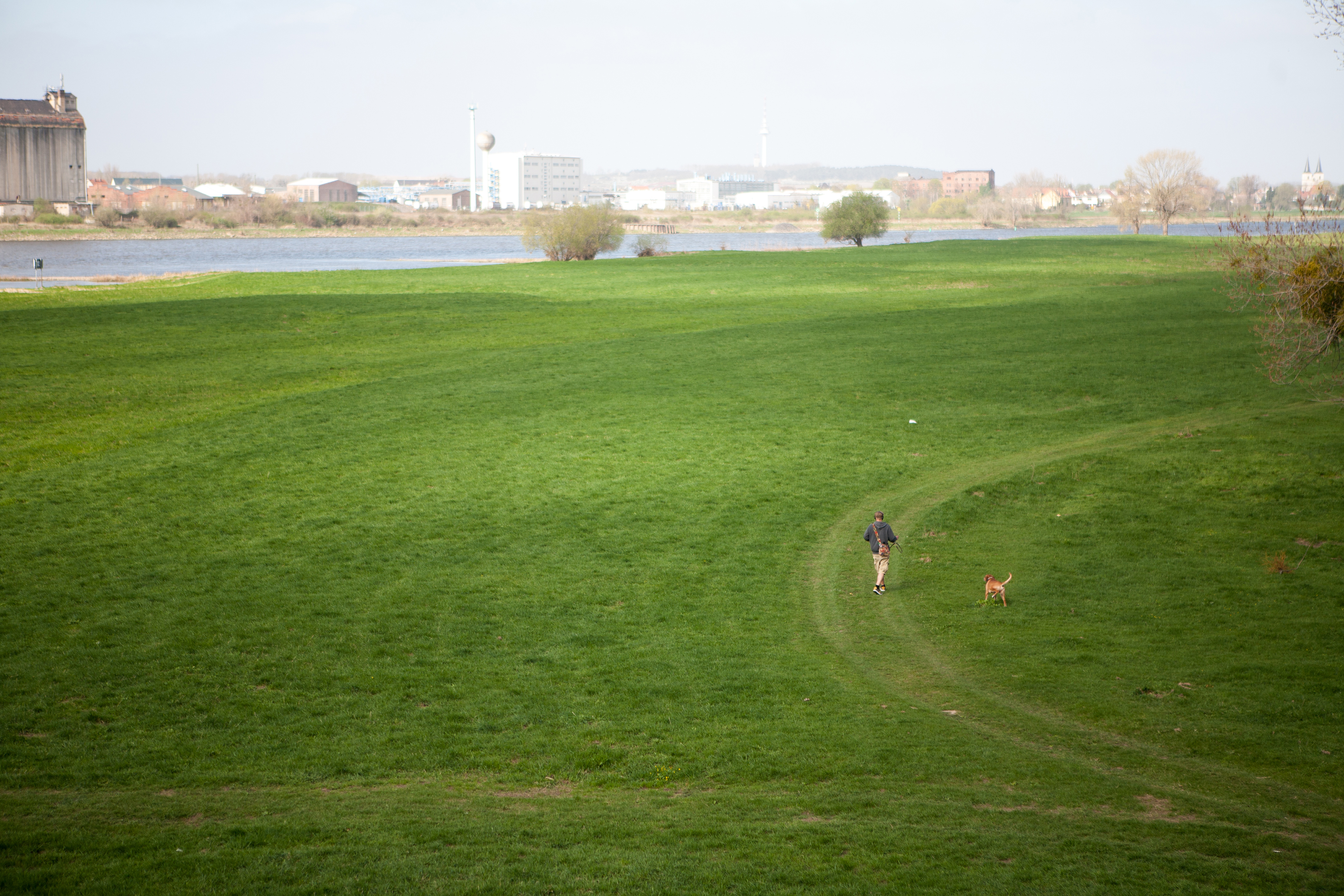 Das Foto zeigt eine Stadtkulisse im Hintergrund, im Vordergrund eine grüne Wiese auf der ein einzelner Mensch spazierengeht. Der Himmel ist blaugrau.
